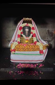 Talapatra Astrology: Ancient Palm Leaf Predictions